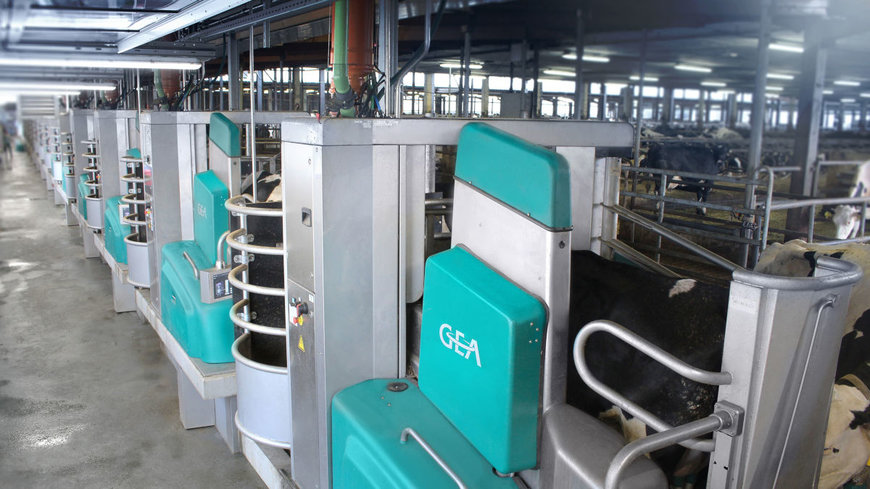GEA puts its largest automated milking system in Europe into operation